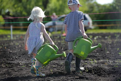 RUTH BONNEVILLE / WINNIPEG FREE PRESS  Three-year-old Heidi Moyer follows her older brother Gunnar (5yrs) to fetch water for their mom  in her families garden plot on Silver Ave. Saturday. Standup photo   May 21, , 2016