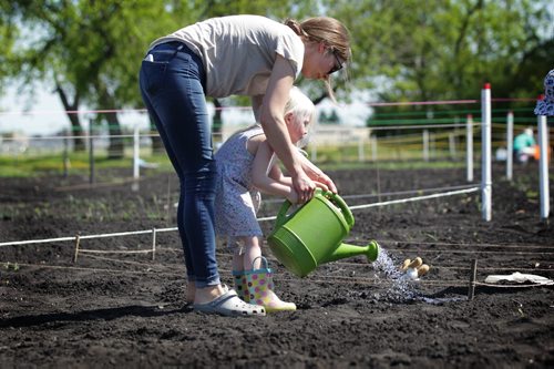RUTH BONNEVILLE / WINNIPEG FREE PRESS  Three-year-old Heidi Moyer waters freshly planted seedlings with her mom, Tracy  in her families garden plot on Silver Ave. Saturday. Standup photo   May 21, , 2016