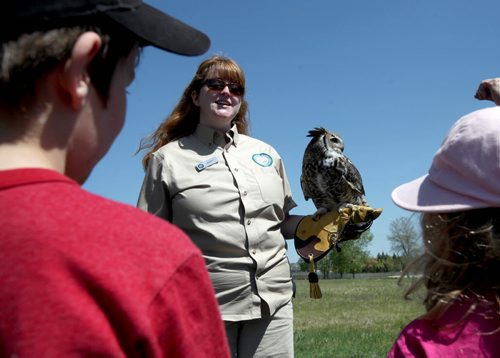 RUTH BONNEVILLE / WINNIPEG FREE PRESS  A nine year old Great Horned owl named Max is shown to people attending the Living Prairie Museum Saturday by volunteer Lesley Robertson with the Wildlife Haven.    Standup photo   May 21, , 2016