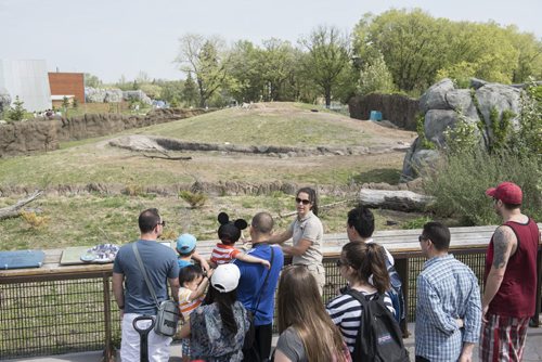 DAVID LIPNOWSKI / WINNIPEG FREE PRESS  Zookeeper Cassandra Smardenka during Keep Talk at the Assiniboine Park Zoo Sunday May 22, 2016.