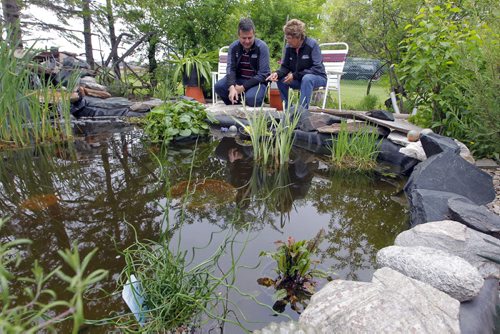 BORIS MINKEVICH / WINNIPEG FREE PRESS Ken Nawolsky, superintendent of insect control launches Agents of S.W.A.T.(Standing Water Action Team) in a Transcona back yard owned by Louise Bohm. May 24, 2016.