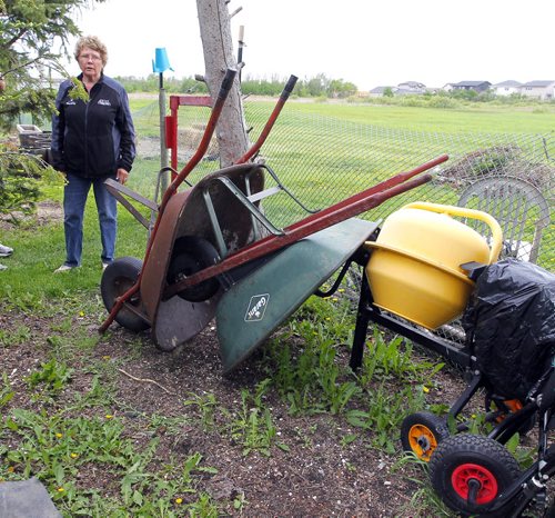 BORIS MINKEVICH / WINNIPEG FREE PRESS Ken Nawolsky, superintendent of insect control (not in photo)  launches Agents of S.W.A.T.(Standing Water Action Team) in a Transcona back yard owned by Louise Bohm. Bohm is photographed with stuff she keeps in mosquito breeding free state. May 24, 2016.