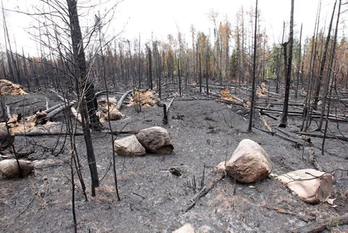 JOE BRYKSA / WINNIPEG FREE PRESS Forest fire damage as seen Tuesday along private 13 km  road to Nora Lake and Florence Lake was opened to cottagers by officials  ., May 24 , 2016.(see Nick Martin  story)