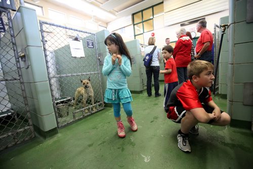 RUTH BONNEVILLE / WINNIPEG FREE PRESS  Eight-year-old Farangiz Ruzimatov (centre) and 11-year-op Jessie Belot (right)  check out the dogs in kennels along with other children and their families  at The City of Winnipeg Dog Pound Saturday during the annual Doors Open Winnipeg event Saturday.   See Carol Sanders story.   May 28,  2016
