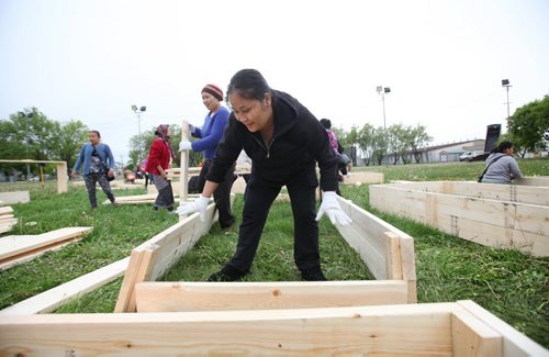 RUTH BONNEVILLE / WINNIPEG FREE PRESS  Sheesay Htoo from Burma  puts together  a wooden garden bed along with other newcomers in her community in North End Park Saturday.   See Carol Sanders story.   May 28, , 2016