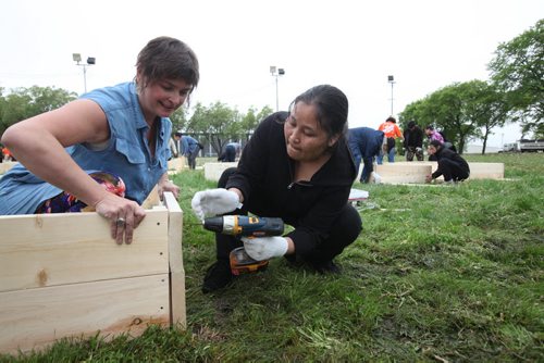 RUTH BONNEVILLE / WINNIPEG FREE PRESS  Sheesay Htoo from Burma  puts together  a wooden garden bed along with other newcomers in her community in North End Park Saturday with the help of Angela Chotka (in blue, left) chair with Food Matters Manitoba.    See Carol Sanders story.   May 28, , 2016