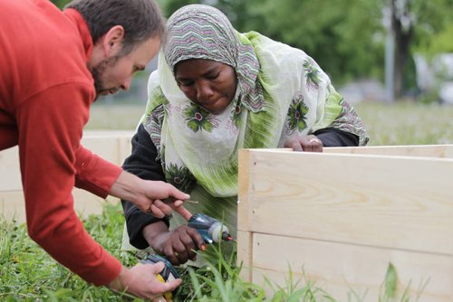 RUTH BONNEVILLE / WINNIPEG FREE PRESS  Shamso Muhammad from the Congo learns how to use a drill with the help of volunteer Philippe Lagacé-Wiens  to make a wooden garden bed along with other newcomers in her community in North End Park Saturday.   See Carol Sanders story.   May 28, , 2016