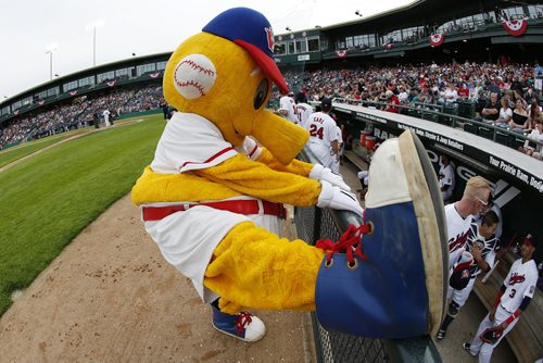 JOHN WOODS / WINNIPEG FREE PRESS Goldie stretches before the Winnipeg Goldeyes home opener against the Sioux Falls Canaries Monday, May 30, 2016.