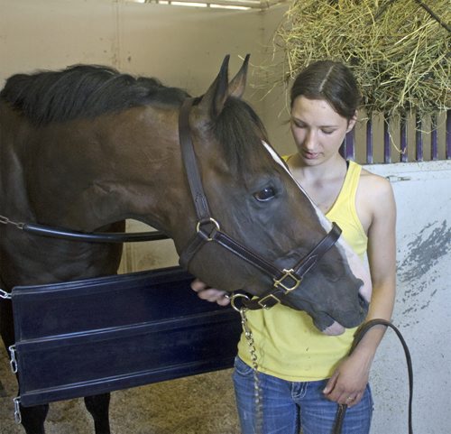 Thoroughbred Magic D'Oro with groom Tiffany Husbands at Assiniboia Downs on opening day for racing column. May 5, 2016. Goerge Williams / Winnipeg Free Press