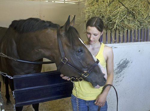 Thoroughbred Magic D'Oro with groom Tiffany Husbands at Assiniboia Downs on opening day for racing column. May 5, 2016. Goerge Williams / Winnipeg Free Press