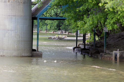BORIS MINKEVICH / WINNIPEG FREE PRESS The Forks. High river waters have closed the river trail and only water foul are using the sunken public trail. June 3, 2016.