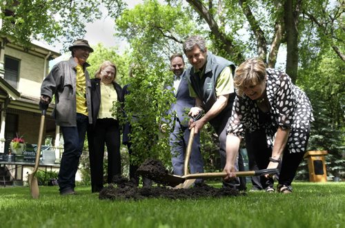 ZACHARY PRONG / WINNIPEG FREE PRESS  (L-R) Trees Winnipeg President Gerry Engel, avid gardener Dorothy Dobbie, TD representative Colin Graves, Tree Canada President Michael Rosen and Deputy Mayor Janice Lukes plant an elm tree at the home of Christine Common on West Gate on Monday, June 6, 2016. The City of Winnipeg was recently awarded a $20,000 grant from Tree Canada and TD Friends of the Environment Foundation to fund the Winnipeg ReLeaf Program in 2016. The ReLeaf Program, in partnership with Trees Winnipeg, will encourage homeowners to replant tress lost to Dutch Elm Disease and provide them with training on correct planting techniques to help ensure the survival of newly planted trees.