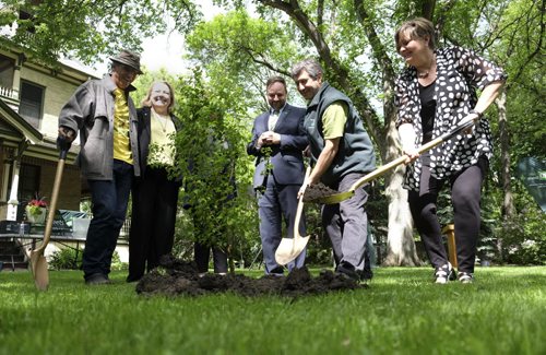ZACHARY PRONG / WINNIPEG FREE PRESS  (L-R) Dorothy Dobbie, Colin Graves, Michael Rosen and Janice Lukes plant an elm tree at the home of Christine Common on West Gate on Monday, June 6, 2016. The City of Winnipeg was recently awarded a $20,000 grant from Tree Canada and TD Friends of the Environment Foundation to fund the Winnipeg ReLeaf Program in 2016. The ReLeaf Program, in partnership with Trees Winnipeg, will encourage homeowners to replant tress lost to Dutch Elm Disease and provide them with training on correct planting techniques to help ensure the survival of newly planted trees.