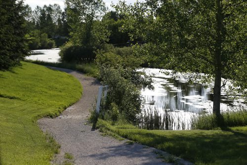 JOHN WOODS / WINNIPEG FREE PRESS Pritchard Farm in the RM of East St Paul Monday, June 6, 2016.