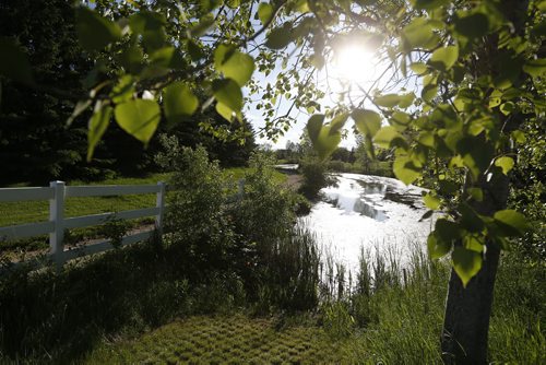 JOHN WOODS / WINNIPEG FREE PRESS Pritchard Farm in the RM of East St Paul Monday, June 6, 2016.