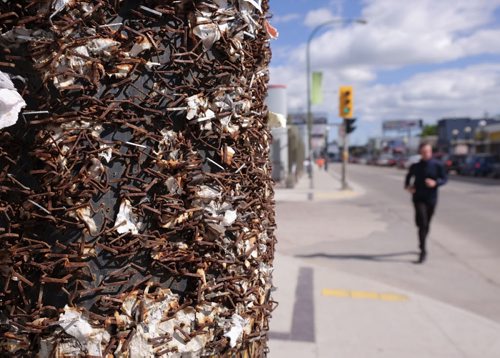 ZACHARY PRONG / WINNIPEG FREE PRESS  Thousands of staples built up from years of posting. Osborne St., June 7, 2016.