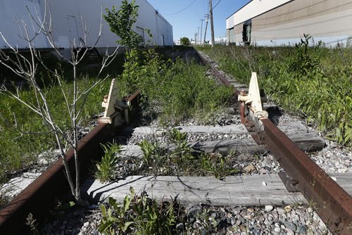 JOHN WOODS / WINNIPEG FREE PRESS A railway spur line off Mountain Ave Monday, June 7, 2016.