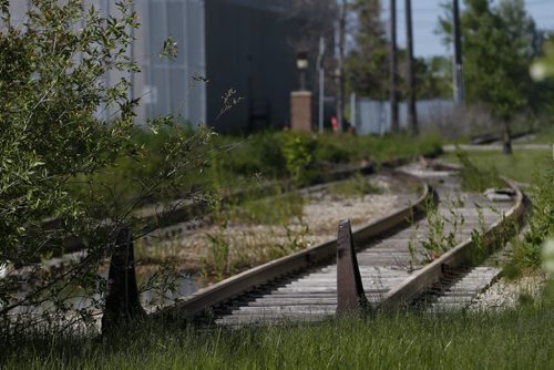 JOHN WOODS / WINNIPEG FREE PRESS A railway spur line off Mountain Ave Monday, June 7, 2016.