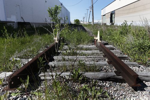 JOHN WOODS / WINNIPEG FREE PRESS A railway spur line off Mountain Ave Monday, June 7, 2016.