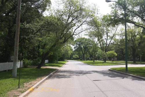 JOE BRYKSA / WINNIPEG FREE PRESS  Mile 17  of the Manitoba full marathon- Wellington Cres .(See 49.8 Marathon course  story)