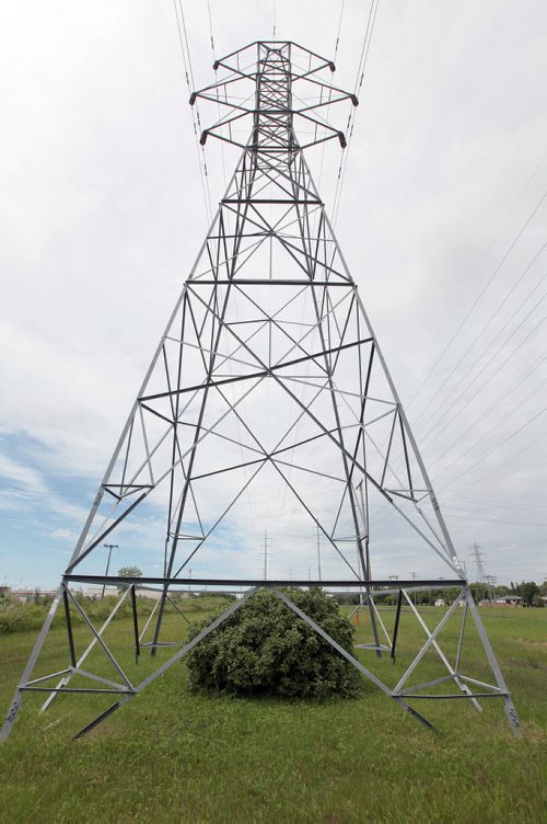 PHIL HOSSACK / WINNIPEG FREE PRESS -   Rapid R.ow O.f W.ay or just row!  An existing tower supports the electrical grid and a thriving brush west of the new Transit right of way south of the CN main railway and north of Bishop Grandin Bvld. See story. June 15, 2016