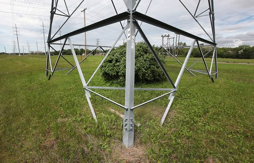 PHIL HOSSACK / WINNIPEG FREE PRESS -   Rapid R.ow O.f W.ay or just row!  Existing tower bases support the electrical grid and a thriving brush west of the new Transit right of way south of the CN main railway and north of Bishop Grandin Bvld. See story. June 15, 2016