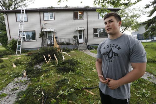 WAYNE GLOWACKI / WINNIPEG FREE PRESS   Josh Behnish by the stump of a spruce tree in front of his duplex in the 1900 block on Corydon Ave. Friday morning after the tree was hit by lightning.¤ No one was injured. Kevin Rollason story    June 17  2016