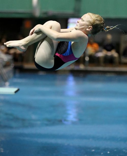 TREVOR HAGAN / WINNIPEG FREE PRESS Claire Werner diving in the Girls & Boys D 1M competition during the 2016 Manitoba Diving Provincial Championships at Pan Am Pool, Saturday, June 18, 2016.