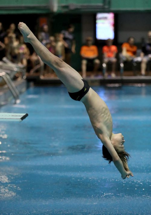 TREVOR HAGAN / WINNIPEG FREE PRESS Adam Cohem diving in the Girls & Boys D 1M competition during the 2016 Manitoba Diving Provincial Championships at Pan Am Pool, Saturday, June 18, 2016.