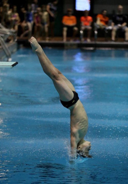 TREVOR HAGAN / WINNIPEG FREE PRESS Adam Cohem diving in the Girls & Boys D 1M competition during the 2016 Manitoba Diving Provincial Championships at Pan Am Pool, Saturday, June 18, 2016.