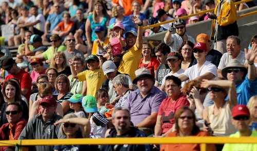 TREVOR HAGAN / WINNIPEG FREE PRESS 2016 Manitoba Marathon supporters watch at the finish line at the University of Manitoba, Sunday, June 19, 2016.