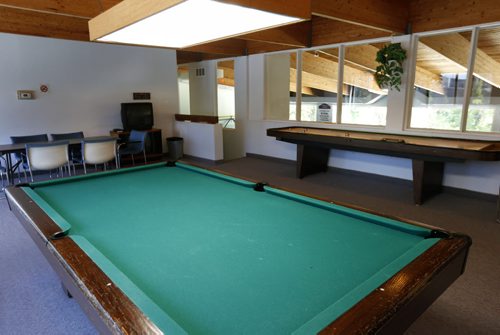 WAYNE GLOWACKI / WINNIPEG FREE PRESS  Homes. Condo at Unit # 1109 at 70 Plaza Drive, Sterling Towers .  Pool table and shuffle board in the recreation complex in a separate building near the condo.The realtor is Eric Neumann.  Todd Lewys story  June 21  2016
