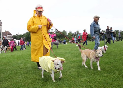 MIKE DEAL / WINNIPEG FREE PRESS  Nancy King with her dogs Tessa (in raincoat), 9, and Callie, 12, stride through Assiniboine Park taking part in the Paws in Motion walk-a-thon which has steadily grown into the Winnipeg Humane Societys largest fundraising event of the year.   160626 Sunday, June 26, 2016