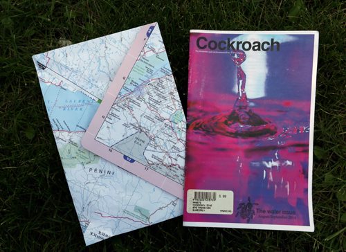 WAYNE GLOWACKI / WINNIPEG FREE PRESS  49.8 ZINES. Local zine called Cockroach with envelope made by creator Meg Crane. Aidan Geary Story June 28  2016