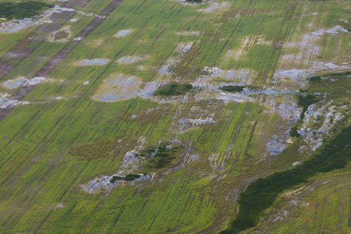 MIKE DEAL / WINNIPEG FREE PRESS After a number of days of rain storms farm fields just north of Winnipeg look too flooded for crops to survive. 160628 - Tuesday, June 28, 2016