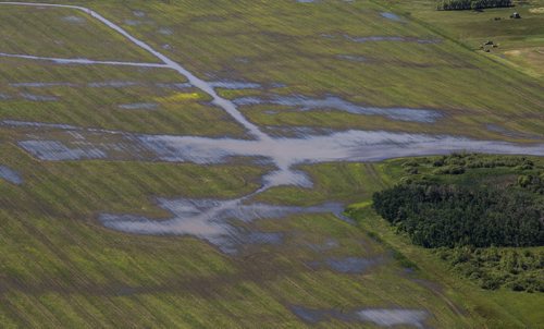 MIKE DEAL / WINNIPEG FREE PRESS After a number of days of rain storms farm fields just northeast of Winnipeg look too flooded for crops to survive. 160628 - Tuesday, June 28, 2016