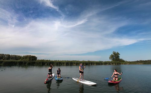 PHIL HOSSACK / WINNIPEG FREE PRESS -   A group of Paddle Canada Paddle Board students Tuesday evening. - See Dave Sanderson's  story. June 28, 2016