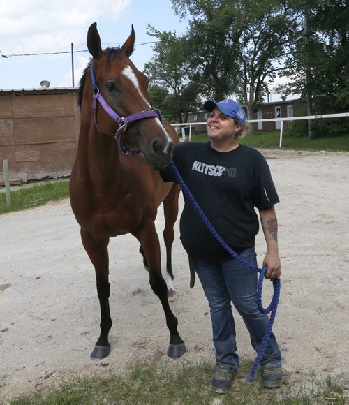 WAYNE GLOWACKI / WINNIPEG FREE PRESS  Top groom Lisa Smith with Canada Day Stakes long shot Woodlandsway in the stable area at the Assiniboia Down Wednesday. George Williams story  June 29  2016