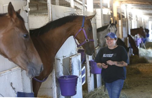WAYNE GLOWACKI / WINNIPEG FREE PRESS  Top groom Lisa Smith with a treat for Canada Day Stakes long shot Woodlandsway in the stable area at the Assiniboia Down Wednesday. George Williams story  June 29  2016