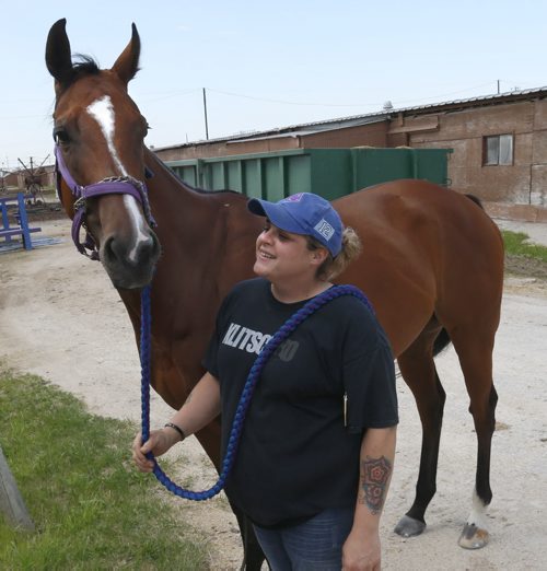 WAYNE GLOWACKI / WINNIPEG FREE PRESS  Top groom Lisa Smith with Canada Day Stakes long shot Woodlandsway in the stable area at the Assiniboia Down Wednesday. George Williams story  June 29  2016