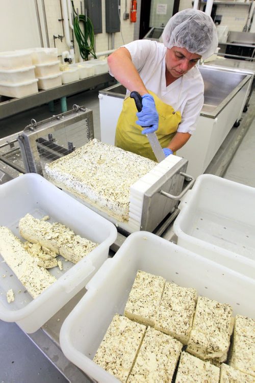 BORIS MINKEVICH / WINNIPEG FREE PRESS LOCAL CHEESE MAKER - Galina Beilis (AKA The Dairy Fairy) is producing locally-sourced, fresh cheese. She is working out of the University of Manitoba Dairy Sciences Building in one of the production rooms. Various shots of the cheese production and facilities. Here she trims off the sides so she can cut the cheese properly. For FOOD FRONT.  June 29, 2016.