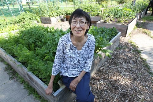 JOE BRYKSA / WINNIPEG FREE PRESS  Sharon Czuba , 61 years volunteers as chef assistant at NorWest Co-op Community Healths Food Centre-July 08, 2016  -(See Aaron Ep story)