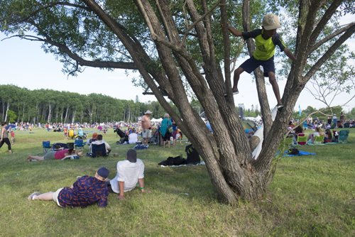 ZACHARY PRONG / WINNIPEG FREE PRESS  A boy climbs a tree at Folkfest on July 8, 2016.