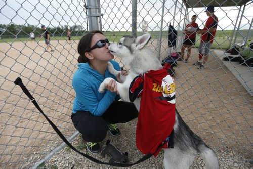 JOHN WOODS / WINNIPEG FREE PRESS Marylynn Spence gets some love from her puppy Jaxon, mascot of team Ballzinga!, at Buhler Recreation Park Monday, July 11, 2016. Park administration has gone to the city for financial help.
