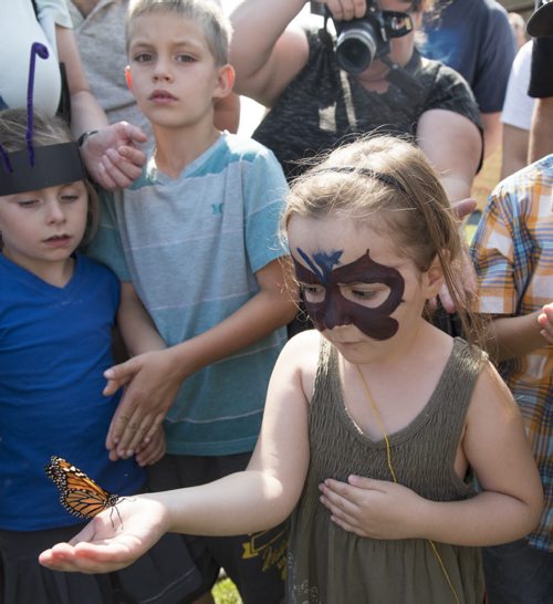 DAVID LIPNOWSKI / WINNIPEG FREE PRESS  Amelia Borduas (age 5) releases a Monarch butterfly at The Living Prairie Museum during the 10th annual Monarch Butterfly Festival Sunday July 17, 2016.