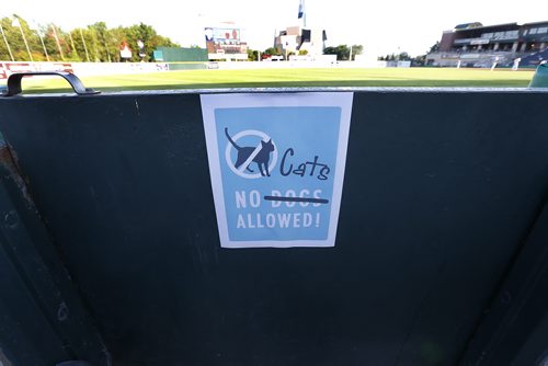 JOHN WOODS / WINNIPEG FREE PRESS A sign ays it all at Bark In The Park during the Winnipeg Goldeye and St Paul Saints game Tuesday, July 19, 2016.