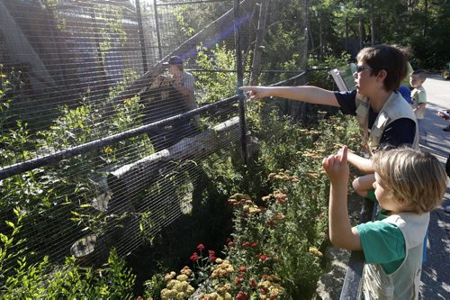 WAYNE GLOWACKI / WINNIPEG FREE PRESS   At right, junior zoo keepers Zane Solmundson,11, and Charlie Myers, 5, give zoo keeper Brittany Weatherall suggestions where to hide food in the enclosure for the Red Pandas at the Assiniboine Zoo.     Ashley Prest story  July 22 2016