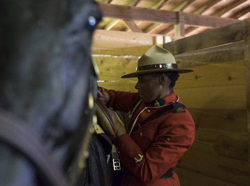 ZACHARY PRONG / WINNIPEG FREE PRESS  Const. Janis Kelly with her horse Pichou. Kelly, a Winnipeg Native, is touring the country with the RCMP Musical Ride for the first time this year. July 23, 2016.
