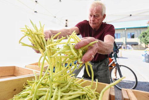 MIKE DEAL / WINNIPEG FREE PRESS  Cliff Freund of Red Poll Farms puts out some yellow beans while setting up at The Forks Farmers Market Sunday morning.   160724 Sunday, July 24, 2016