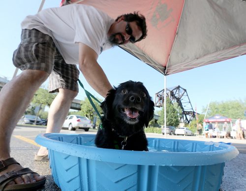 JASON HALSTEAD / WINNIPEG FREE PRESS  Jeff Forrest washes his dog Tucker, a six-year-old Maltese-spaniel cross at the Bark at the Park event at the Winnipeg Goldeyes baseball game at Shaw Park on July 19, 2016. (See Social Page)